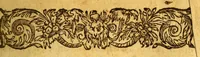 An illustration from Histoire d'un voyage fait en la terre du Bresil, dite Amerique. : Contenant la nauigation, & choses remarquables, veuës sur mer par l'autheur. Le comportement de Villegagnon en ce païs la. Les moeurs & façons de viure estranges des sauuages bresiliens: auec vn colloque de leur langage. Ensemble la description de plusieurs animaux, poissons, diformes, arbres, herbes, fruicts, racines, & autres choses singulieres, & du tout incognues par deçà: dont on verra les sommaires des chapitres au commencement du liure. Auec les figures, reueue, corrigee & bien augmentee par l'autheur. (1600)