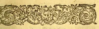 An illustration from Histoire d'un voyage fait en la terre du Bresil, dite Amerique. : Contenant la nauigation, & choses remarquables, veuës sur mer par l'autheur. Le comportement de Villegagnon en ce païs la. Les moeurs & façons de viure estranges des sauuages bresiliens: auec vn colloque de leur langage. Ensemble la description de plusieurs animaux, poissons, diformes, arbres, herbes, fruicts, racines, & autres choses singulieres, & du tout incognues par deçà: dont on verra les sommaires des chapitres au commencement du liure. Auec les figures, reueue, corrigee & bien augmentee par l'autheur. (1600)