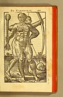 Picture 6 of 12 from Histoire d'un voyage fait en la terre du Bresil, autrement dite Amerique. : Contenant la nauigation, & choses remarquables veues sur mer par l'autheur. Le comportement de Villegagnon en ce pays là. Les moeurs & façons de viure estranges des sauuages ameriquains: auec vn colloque de leur langage. Ensemble la description de plusieurs animaux, arbres, herbes, & autres choses singulieres, & du tout inconues par deça: dont on verra les sommaires des chapitres au co[m]mencement du liure. (1594), leaf 255