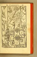 An illustration from Histoire d'un voyage fait en la terre du Bresil, autrement dite Amerique. : Contenant la nauigation, & choses remarquables veues sur mer par l'autheur. Le comportement de Villegagnon en ce pays là. Les moeurs & façons de viure estranges des sauuages ameriquains: auec vn colloque de leur langage. Ensemble la description de plusieurs animaux, arbres, herbes, & autres choses singulieres, & du tout inconues par deça: dont on verra les sommaires des chapitres au co[m]mencement du liure. (1594)