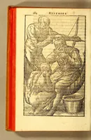 Picture 11 of 12 from Histoire d'un voyage fait en la terre du Bresil, autrement dite Amerique. : Contenant la nauigation, & choses remarquables veues sur mer par l'autheur. Le comportement de Villegagnon en ce pays là. Les moeurs & façons de viure estranges des sauuages ameriquains: auec vn colloque de leur langage. Ensemble la description de plusieurs animaux, arbres, herbes, & autres choses singulieres, & du tout inconues par deça: dont on verra les sommaires des chapitres au co[m]mencement du liure. (1594), leaf 332