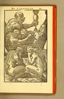 Picture 12 of 12 from Histoire d'un voyage fait en la terre du Bresil, autrement dite Amerique. : Contenant la nauigation, & choses remarquables veues sur mer par l'autheur. Le comportement de Villegagnon en ce pays là. Les moeurs & façons de viure estranges des sauuages ameriquains: auec vn colloque de leur langage. Ensemble la description de plusieurs animaux, arbres, herbes, & autres choses singulieres, & du tout inconues par deça: dont on verra les sommaires des chapitres au co[m]mencement du liure. (1594), leaf 349