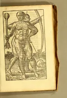 Picture 4 of 10 from Histoire d'un voyage fait en la terre du Bresil, autrement dite Amerique. : Contenant la nauigation, & choses remarquables, veuës sur mer par l'aucteur: le comportement de Villegagnon, en ce païs là. Les meurs [sic] & façons de viure estranges des sauuages ameriquains: auec vn colloque de leur langage. Ensemble la description de plusieurs animaux, arbres, herbes, & autres choses singulieres, & du tout inconues par deça, dont on verra les sommaires des chapitres au commencement du liure. Non encores mis en lumiere, pour les causes contenues en la preface. (1578), leaf 283