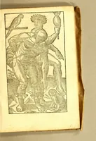 An illustration from Histoire d'un voyage fait en la terre du Bresil, autrement dite Amerique. : Contenant la nauigation, & choses remarquables, veuës sur mer par l'aucteur: le comportement de Villegagnon, en ce païs là. Les meurs [sic] & façons de viure estranges des sauuages ameriquains: auec vn colloque de leur langage. Ensemble la description de plusieurs animaux, arbres, herbes, & autres choses singulieres, & du tout inconues par deça, dont on verra les sommaires des chapitres au commencement du liure. Non encores mis en lumiere, pour les causes contenues en la preface. (1578)