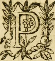 An illustration from Histoire du siege d'Orleans, et de la Pucelle Ieane (1631)