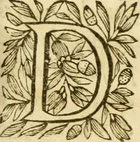 An illustration from Histoire du siege d'Orleans, et de la Pucelle Ieane (1631)