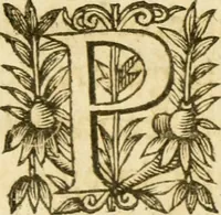 An illustration from Histoire du siege d'Orleans, et de la Pucelle Ieane (1631)