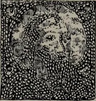An illustration from Histoire du tissu ancien à l'exposition de l'Union centrale des arts décoratifs (1883)
