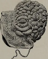 Picture 53 of 70 from Histoire du tissu ancien à l'exposition de l'Union centrale des arts décoratifs (1883), leaf 61