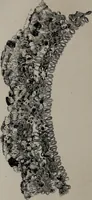 An illustration from Histoire du tissu ancien à l'exposition de l'Union centrale des arts décoratifs (1883)