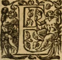 An illustration from Histoire dv chevalier Bayard, lievtenant general povr le Roy av govvernement de Daulphiné, et de plvsievrs choses memorables advenves en France, Italie, Espagne, & és Pays bas, du regne des roys Charles VIII, Louys XII, & François I. depuis l'an 1489, iusques à 1524 (1616)
