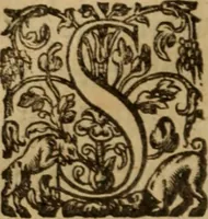 An illustration from Histoire dv chevalier Bayard, lievtenant general povr le Roy av govvernement de Daulphiné, et de plvsievrs choses memorables advenves en France, Italie, Espagne, & és Pays bas, du regne des roys Charles VIII, Louys XII, & François I. depuis l'an 1489, iusques à 1524 (1616)