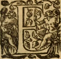 An illustration from Histoire dv chevalier Bayard, lievtenant general povr le Roy av govvernement de Daulphiné, et de plvsievrs choses memorables advenves en France, Italie, Espagne, & és Pays bas, du regne des roys Charles VIII, Louys XII, & François I. depuis l'an 1489, iusques à 1524 (1616)
