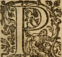 An illustration from Histoire dv chevalier Bayard, lievtenant general povr le Roy av govvernement de Daulphiné, et de plvsievrs choses memorables advenves en France, Italie, Espagne, & és Pays bas, du regne des roys Charles VIII, Louys XII, & François I. depuis l'an 1489, iusques à 1524 (1616)