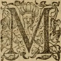 An illustration from Histoire dv chevalier Bayard, lievtenant general povr le Roy av govvernement de Daulphiné, et de plvsievrs choses memorables advenves en France, Italie, Espagne, & és Pays bas, du regne des roys Charles VIII, Louys XII, & François I. depuis l'an 1489, iusques à 1524 (1616)