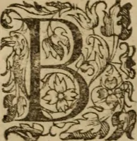 An illustration from Histoire dv chevalier Bayard, lievtenant general povr le Roy av govvernement de Daulphiné, et de plvsievrs choses memorables advenves en France, Italie, Espagne, & és Pays bas, du regne des roys Charles VIII, Louys XII, & François I. depuis l'an 1489, iusques à 1524 (1616)