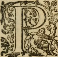 An illustration from Histoire dv chevalier Bayard, lievtenant general povr le Roy av govvernement de Daulphiné, et de plvsievrs choses memorables advenves en France, Italie, Espagne, & és Pays bas, du regne des roys Charles VIII, Louys XII, & François I. depuis l'an 1489, iusques à 1524 (1616)