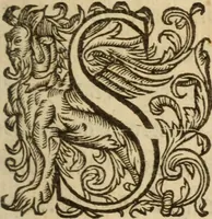 An illustration from Histoire dv chevalier Bayard, lievtenant general povr le Roy av govvernement de Daulphiné, et de plvsievrs choses memorables advenves en France, Italie, Espagne, & és Pays bas, du regne des roys Charles VIII, Louys XII, & François I. depuis l'an 1489, iusques à 1524 (1616)