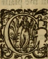 An illustration from Histoire dv chevalier Bayard, lievtenant general povr le Roy av govvernement de Daulphiné, et de plvsievrs choses memorables advenves en France, Italie, Espagne, & és Pays bas, du regne des roys Charles VIII, Louys XII, & François I. depuis l'an 1489, iusques à 1524 (1616)