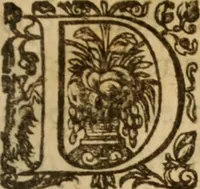 An illustration from Histoire dv chevalier Bayard, lievtenant general povr le Roy av govvernement de Daulphiné, et de plvsievrs choses memorables advenves en France, Italie, Espagne, & és Pays bas, du regne des roys Charles VIII, Louys XII, & François I. depuis l'an 1489, iusques à 1524 (1616)