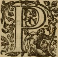 An illustration from Histoire dv chevalier Bayard, lievtenant general povr le Roy av govvernement de Daulphiné, et de plvsievrs choses memorables advenves en France, Italie, Espagne, & és Pays bas, du regne des roys Charles VIII, Louys XII, & François I. depuis l'an 1489, iusques à 1524 (1616)