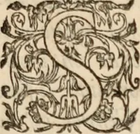 An illustration from Histoire dv Chevalier Bayard, lievtenant general povr le roi av govvernement de Daulphiné : et de plvsieurs choses memorables advenves en France, Italie, Espagne, & és Pays Bas, du regne de roys Charles VIII, Louys XII, & François I, depuis l'an 1489, iusques à 1524 (1619)