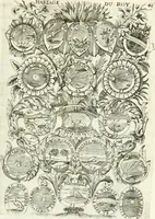 Picture 140 of 162 from Histoire dv roy Lovis le Grand, par les medailles, emblêmes, deuises, jettons, inscriptions, armoiries, et autres monumens publics; (1691), leaf 96