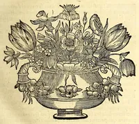 Picture 11 of 16 from Histoire generale des Antilles habitées par les François. : Divisée en deux tomes, et enrichie de cartes & de figures. Tome I [-IV]. ... (1667), leaf 115
