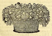 Picture 4 of 16 from Histoire generale des Antilles habitées par les François. : Divisée en deux tomes, et enrichie de cartes & de figures. Tome I [-IV]. ... (1667), leaf 17