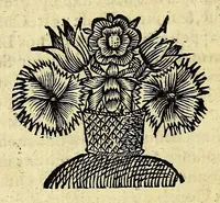 An illustration from Histoire generale des Antilles habitées par les François. : Divisée en deux tomes, et enrichie de cartes & de figures. Tome I [-IV]. ... (1667)