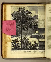 Picture 9 of 19 from Histoire generale des Antilles habitées par les François. : Divisée en deux tomes, et enrichie de cartes & de figures. Tome I [-IV]. ... (1667), leaf 132