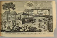 Picture 10 of 19 from Histoire generale des Antilles habitées par les François. : Divisée en deux tomes, et enrichie de cartes & de figures. Tome I [-IV]. ... (1667), leaf 149