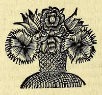 An illustration from Histoire generale des Antilles habitées par les François. : Divisée en deux tomes, et enrichie de cartes & de figures. Tome I [-IV]. ... (1667)
