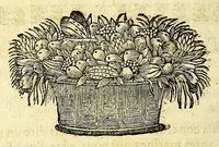 An illustration from Histoire generale des Antilles habitées par les François. : Divisée en deux tomes, et enrichie de cartes & de figures. Tome I [-IV]. ... (1667)