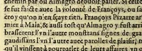 An illustration from Histoire generalle des Indes Occidentales & terres neuues, qui iusques à present ont esté descouuertes, (1569)