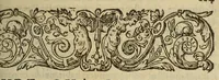 An illustration from Histoire generalle des Indes Occidentales & terres neuues, qui iusques à present ont esté descouuertes, (1569)
