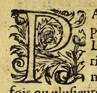 An illustration from Histoire generalle des Indes Occidentales et terres neuues, qui iusques à present ont esté descouuertes. (1577)