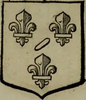 An illustration from Histoire généalogique et chronologique de la maison royale de France, des pairs, grands officiers de la couronne & de la maison du roy & des anciens barons du royaume : avec les qualitez, l'origine, le progrés & les armes de leurs familles; ensemble les statuts & le catalogue des chevaliers, commandeurs, & officiers de l'ordre du S. Esprit : le tovt dressé svr titres originaux, svr les registres des chartes du roy, du parlement, de la chambre des comptes, & du châtelet de Paris, cartulaires, manuscrits de la bibliotheque du roy, & d'autres cabinets curieux (1726)