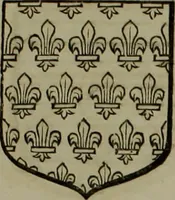 Picture 259 of 519 from Histoire généalogique et chronologique de la maison royale de France, des pairs, grands officiers de la couronne & de la maison du roy & des anciens barons du royaume : avec les qualitez, l'origine, le progrés & les armes de leurs familles; ensemble les statuts & le catalogue des chevaliers, commandeurs, & officiers de l'ordre du S. Esprit : le tovt dressé svr titres originaux, svr les registres des chartes du roy, du parlement, de la chambre des comptes, & du châtelet de Paris, cartulaires, manuscrits de la bibliotheque du roy, & d'autres cabinets curieux (1726), leaf 204