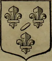 Picture 337 of 519 from Histoire généalogique et chronologique de la maison royale de France, des pairs, grands officiers de la couronne & de la maison du roy & des anciens barons du royaume : avec les qualitez, l'origine, le progrés & les armes de leurs familles; ensemble les statuts & le catalogue des chevaliers, commandeurs, & officiers de l'ordre du S. Esprit : le tovt dressé svr titres originaux, svr les registres des chartes du roy, du parlement, de la chambre des comptes, & du châtelet de Paris, cartulaires, manuscrits de la bibliotheque du roy, & d'autres cabinets curieux (1726), leaf 253