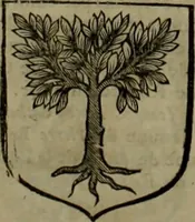 An illustration from Histoire généalogique et chronologique de la maison royale de France, des pairs, grands officiers de la couronne & de la maison du roy & des anciens barons du royaume : avec les qualitez, l'origine, le progrés & les armes de leurs familles; ensemble les statuts & le catalogue des chevaliers, commandeurs, & officiers de l'ordre du S. Esprit : le tovt dressé svr titres originaux, svr les registres des chartes du roy, du parlement, de la chambre des comptes, & du châtelet de Paris, cartulaires, manuscrits de la bibliotheque du roy, & d'autres cabinets curieux (1726)