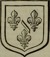 An illustration from Histoire généalogique et chronologique de la maison royale de France, des pairs, grands officiers de la couronne & de la maison du roy & des anciens barons du royaume : avec les qualitez, l'origine, le progrés & les armes de leurs familles; ensemble les statuts & le catalogue des chevaliers, commandeurs, & officiers de l'ordre du S. Esprit : le tovt dressé svr titres originaux, svr les registres des chartes du roy, du parlement, de la chambre des comptes, & du châtelet de Paris, cartulaires, manuscrits de la bibliotheque du roy, & d'autres cabinets curieux (1726)