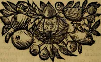 An illustration from Histoire metallique de la republique de Hollande. (1688)