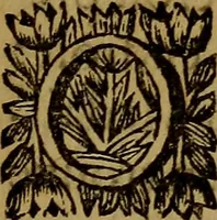 An illustration from Histoire metallique de la republique de Hollande. (1688)