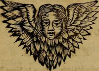 An illustration from Histoire metallique de la republique de Hollande. (1688)