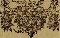 An illustration from Histoire metallique de la republique de Hollande. (1688)