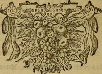 An illustration from Histoire metallique de la republique de Hollande. (1688)