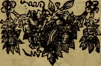 An illustration from Histoire metallique de la republique de Hollande. (1688)