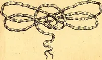 An illustration from Histoire metallique de la republique de Hollande. (1688)