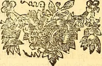 Picture 62 of 112 from Histoire metallique de la republique de Hollande. (1688), leaf 169